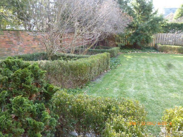 back yard