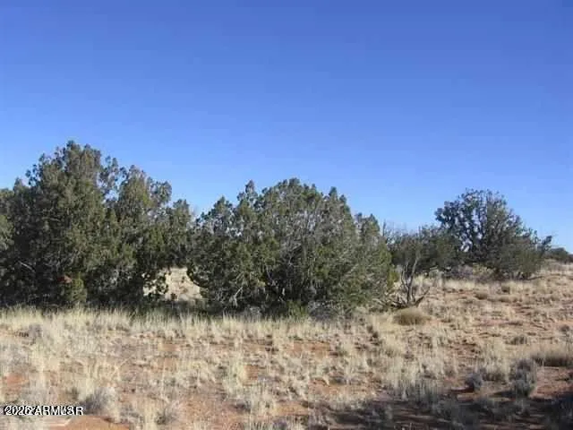 $22,000 | 1543 Chevelon Avenue, Heber, AZ 85928