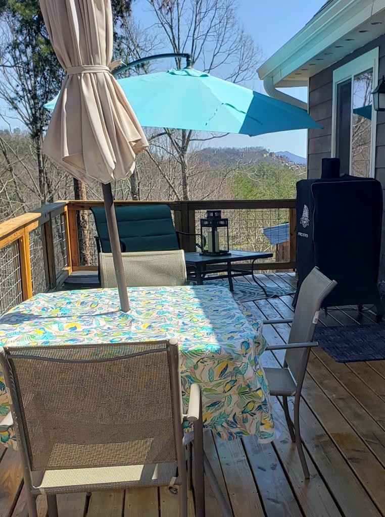 1291 Laurel Lick Road Sevierville, TN 37862 - Photo 14 of 15