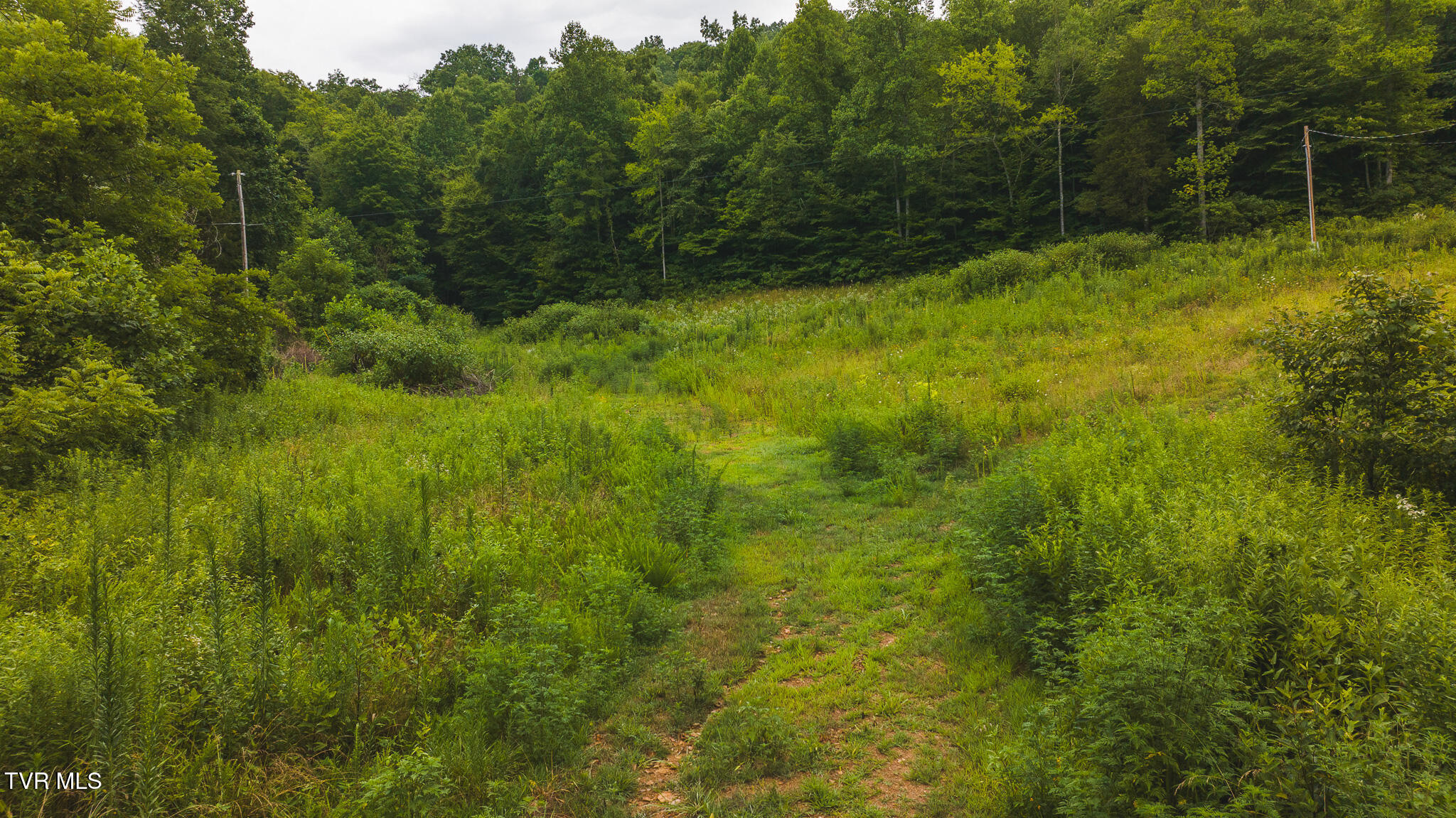 1446 Brooks Road Sneedville, TN 37869 - Photo 11 of 43 DJI_20230911121636_0069_D