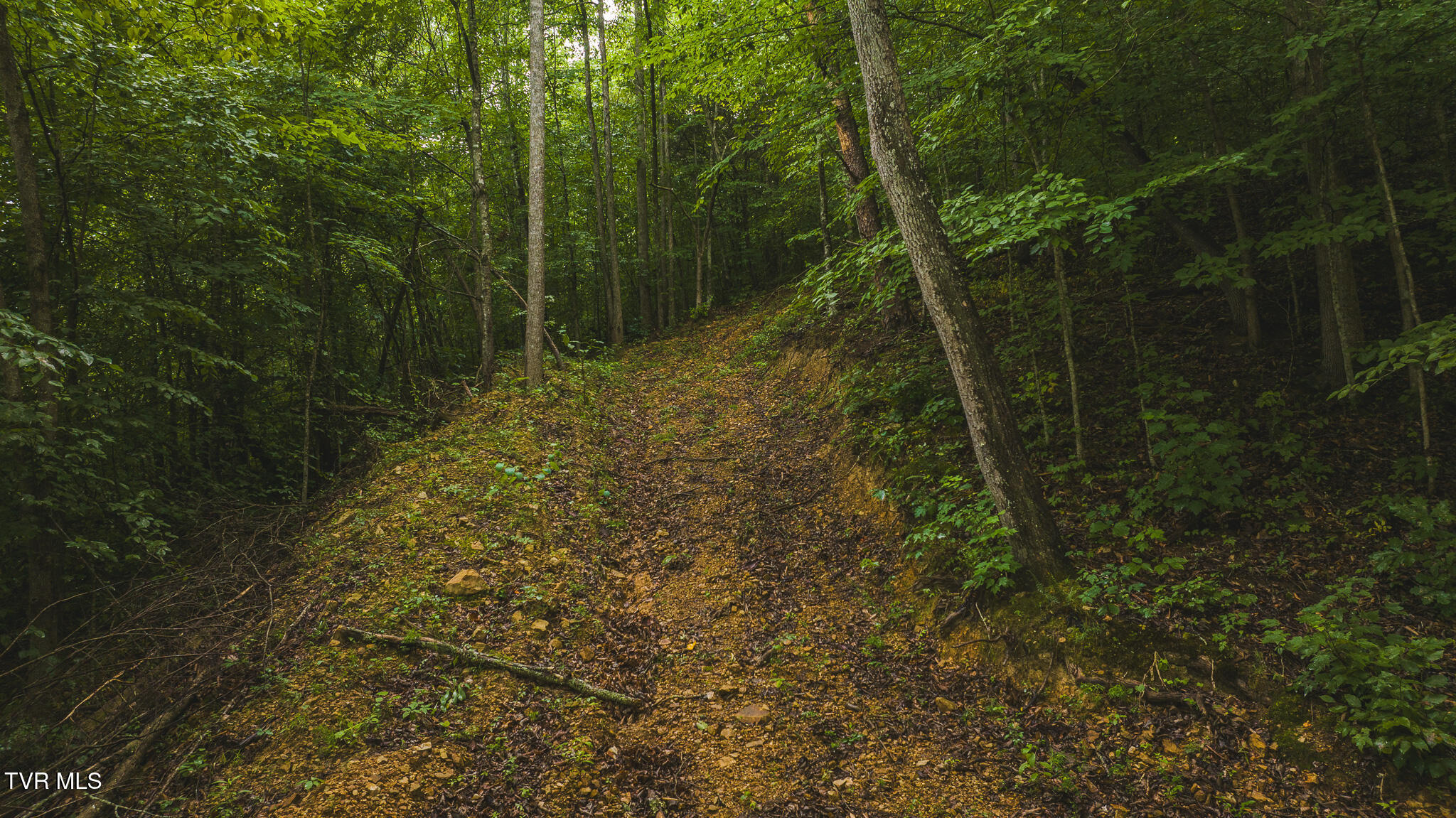 1446 Brooks Road Sneedville, TN 37869 - Photo 13 of 43 DJI_20230911121708_0071_D