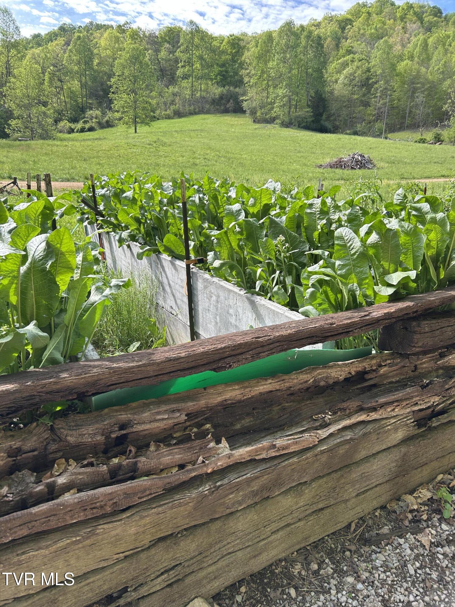 1446 Brooks Road Sneedville, TN 37869 - Photo 2 of 43 IMG_2820