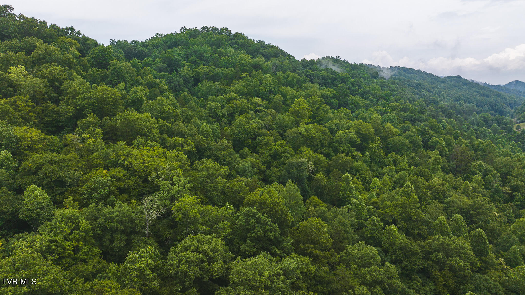 1446 Brooks Road Sneedville, TN 37869 - Photo 21 of 43 DJI_20230911121857_0079_D