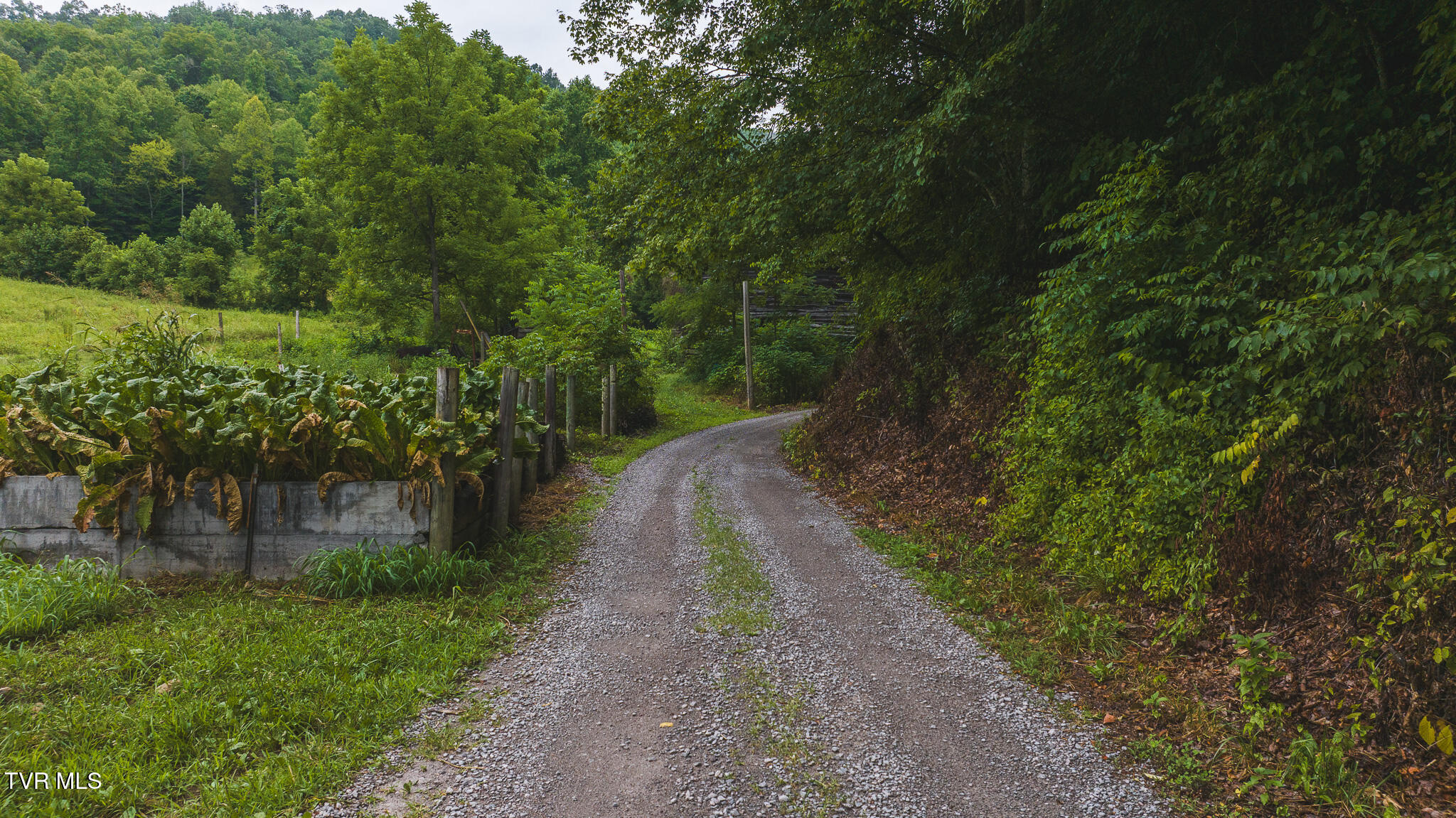 1446 Brooks Road Sneedville, TN 37869 - Photo 29 of 43 DJI_20230911122116_0087_D
