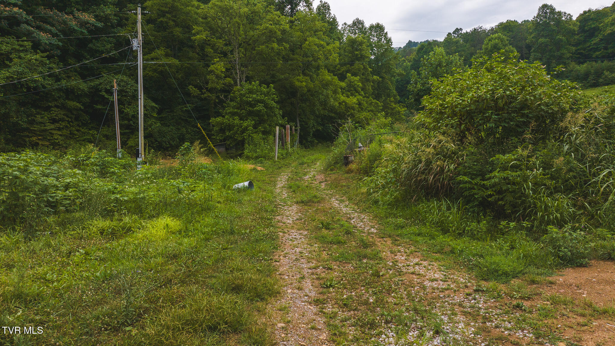 1446 Brooks Road Sneedville, TN 37869 - Photo 3 of 43 DJI_20230911121449_0060_D