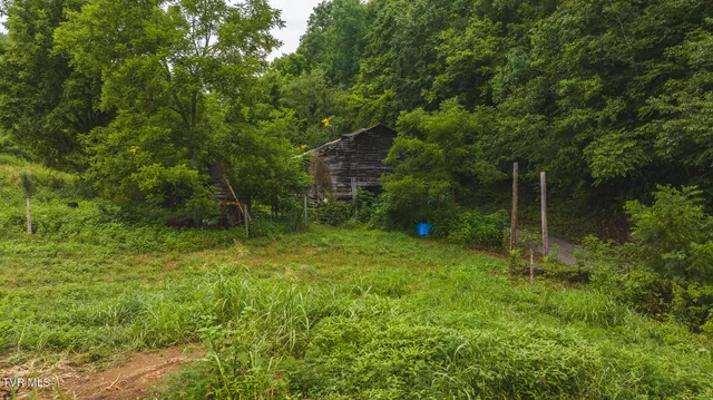 $650,000 | 1446 Brooks Road, Sneedville, TN 37869