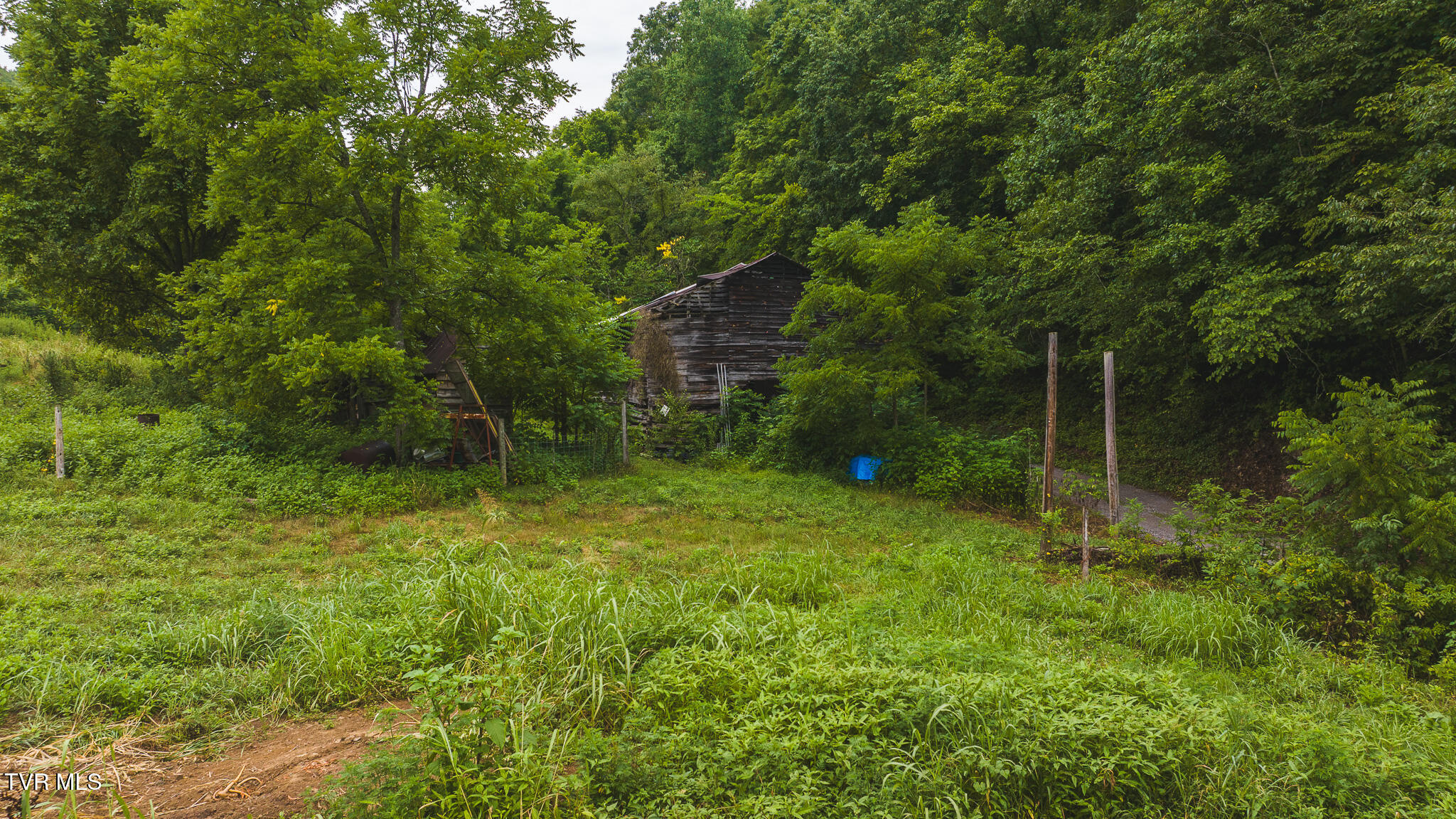 1446 Brooks Road Sneedville, TN 37869 - Photo 7 of 43 DJI_20230911121552_0065_D