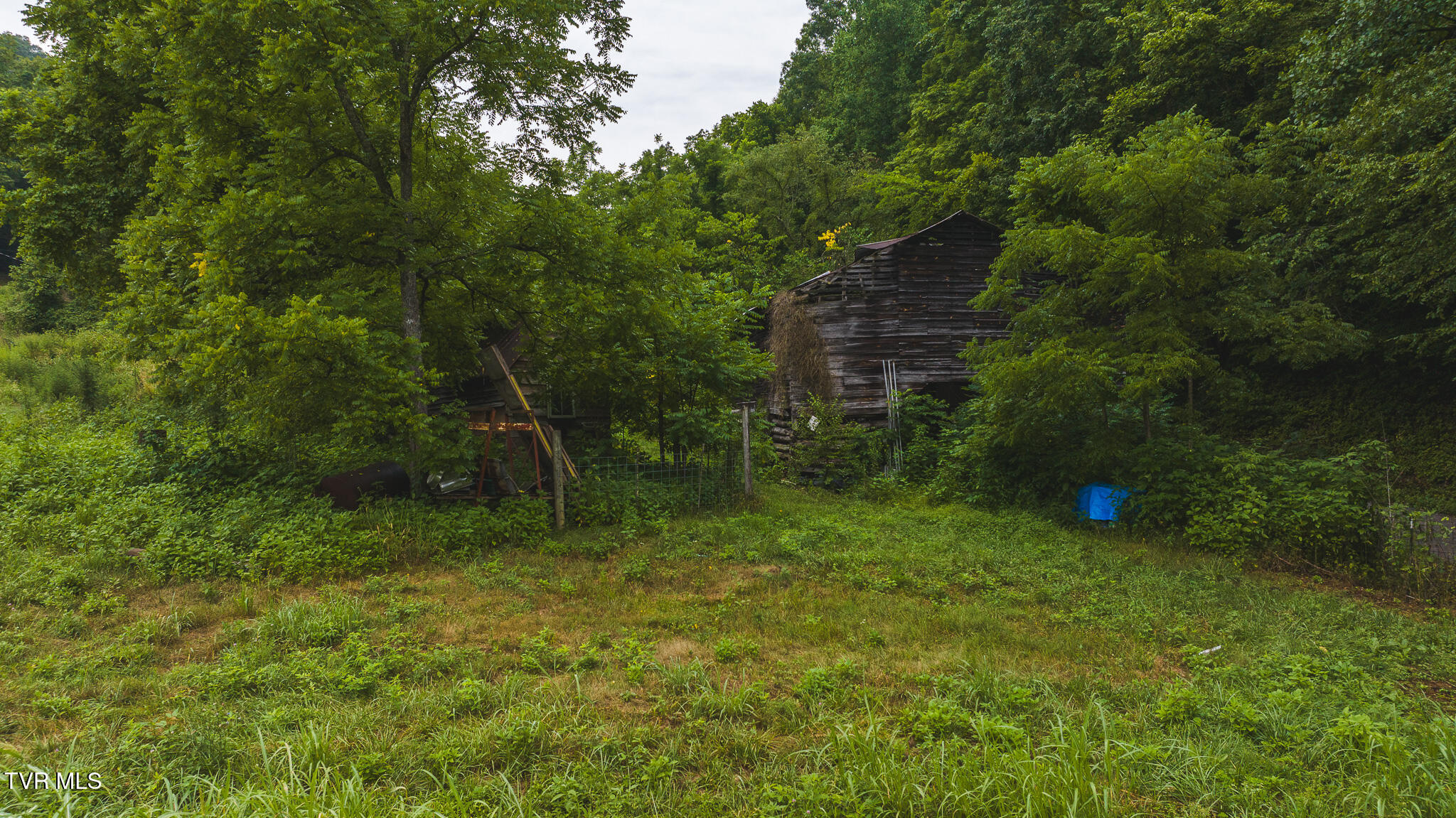 1446 Brooks Road Sneedville, TN 37869 - Photo 8 of 43 DJI_20230911121559_0066_D