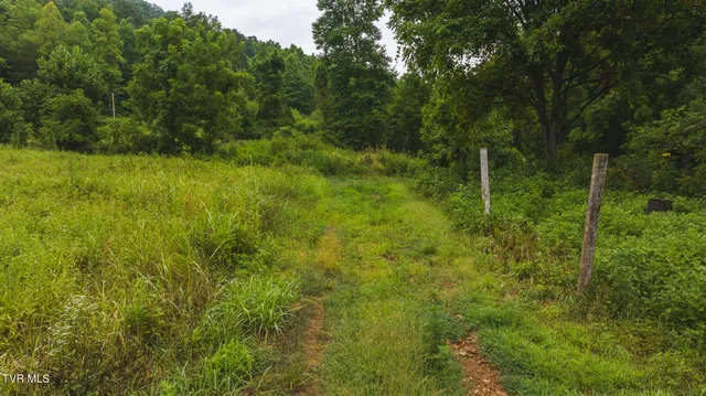 $650,000 | 1446 Brooks Road, Sneedville, TN 37869