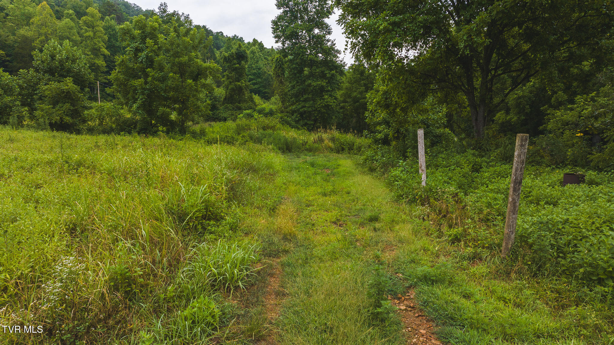 1446 Brooks Road Sneedville, TN 37869 - Photo 9 of 43 DJI_20230911121609_0067_D