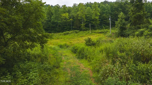 $650,000 | 1446 Brooks Road, Sneedville, TN 37869