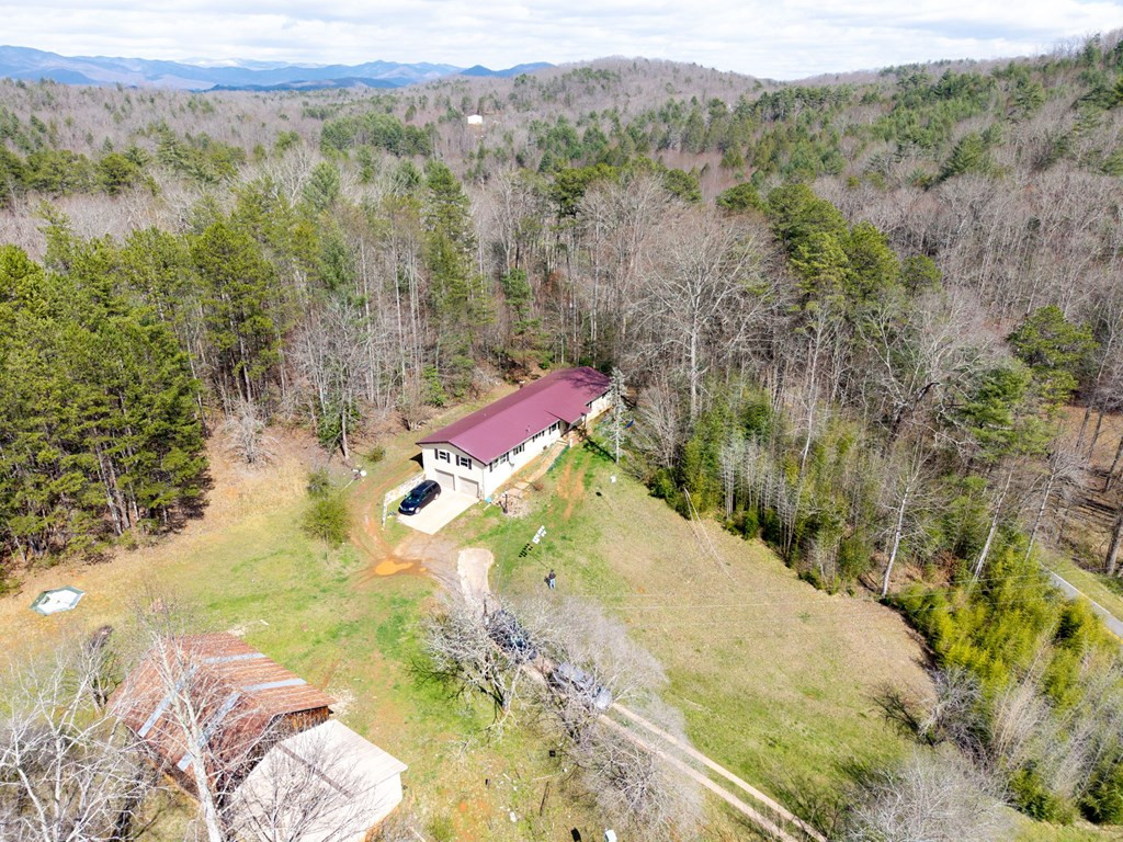 1669 Hiwassee Dam Access Road Murphy, NC 28906 - Photo 5 of 19