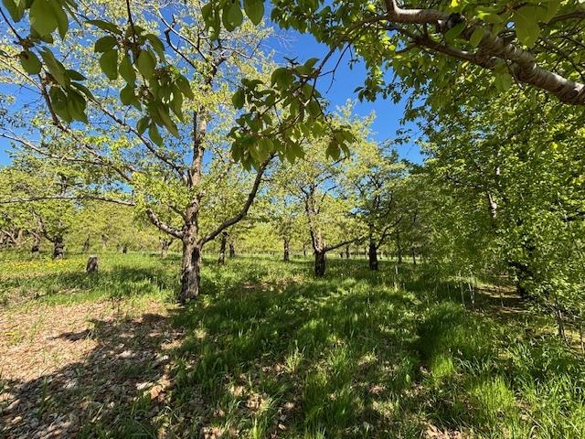 Three Three Mile Road, Unit LOT: G Traverse City, MI 49696 - Photo 8 of 8