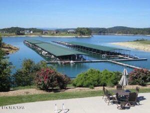 Fishers Loop Sharps Chapel, TN 37866 - Photo 10 of 18 Community marina