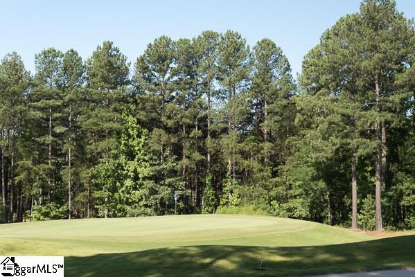 6 Club Cart Road Travelers Rest, SC 29690 - Photo 15 of 21 Gallery Image 15