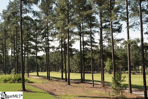 6 Club Cart Road Travelers Rest, SC 29690 - Photo 16 of 21 Gallery Image 16