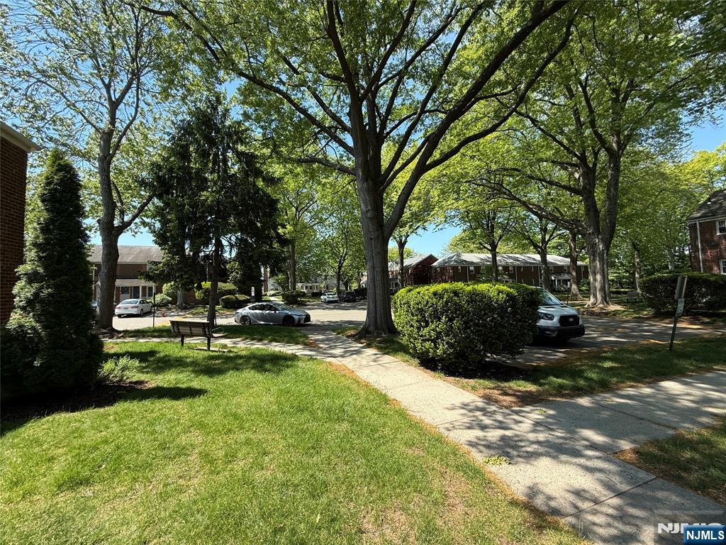 20 Clark Court Rutherford, NJ 07070 - Photo 27 of 29 a view of a park with large trees