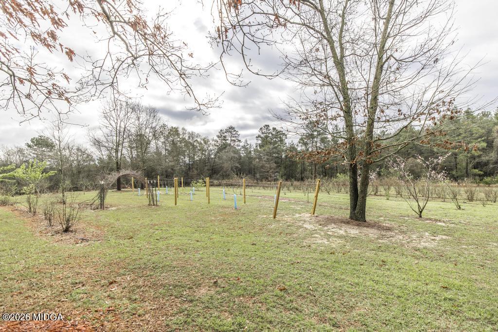 319 Pope Road Roberta, GA 31078 - Photo 37 of 42 a view of a yard with a tree