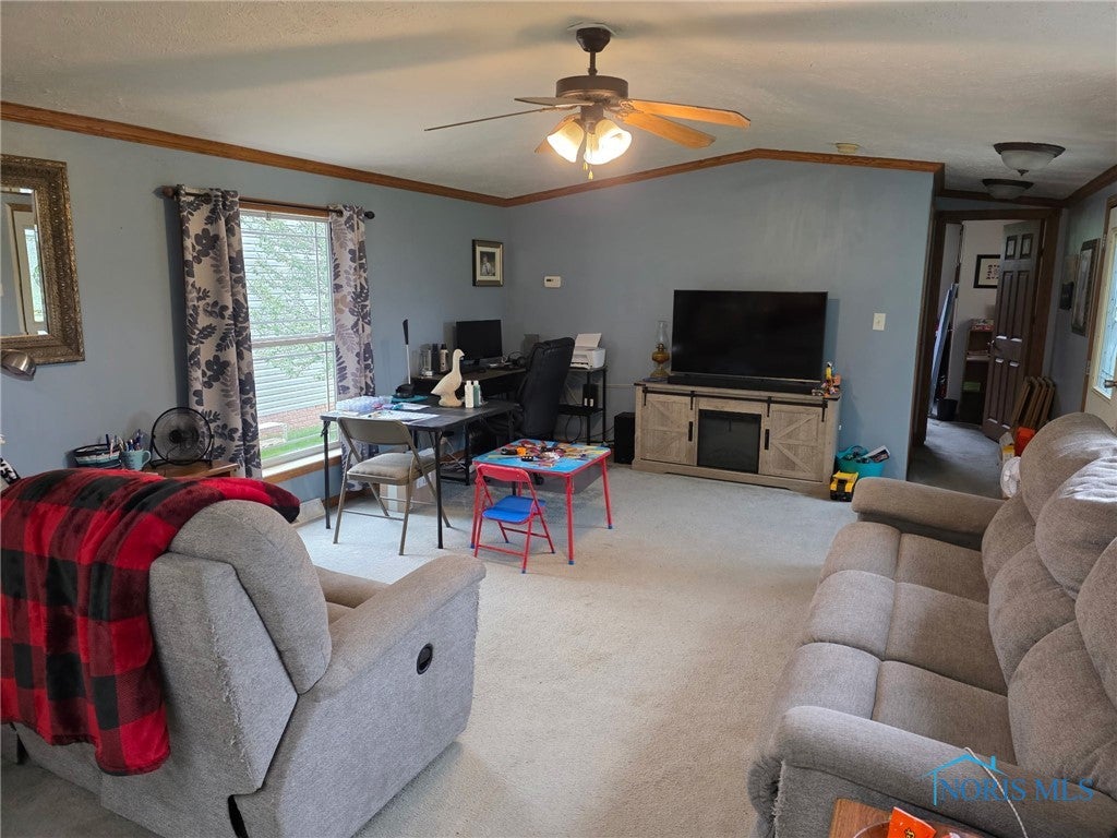 10965 County Road South Lyons, OH 43533 - Photo 9 of 27 Gallery Image 9
