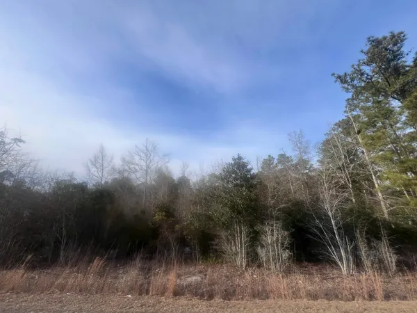$15,000 | Tbd Retired Avenue, Marion, SC 29571