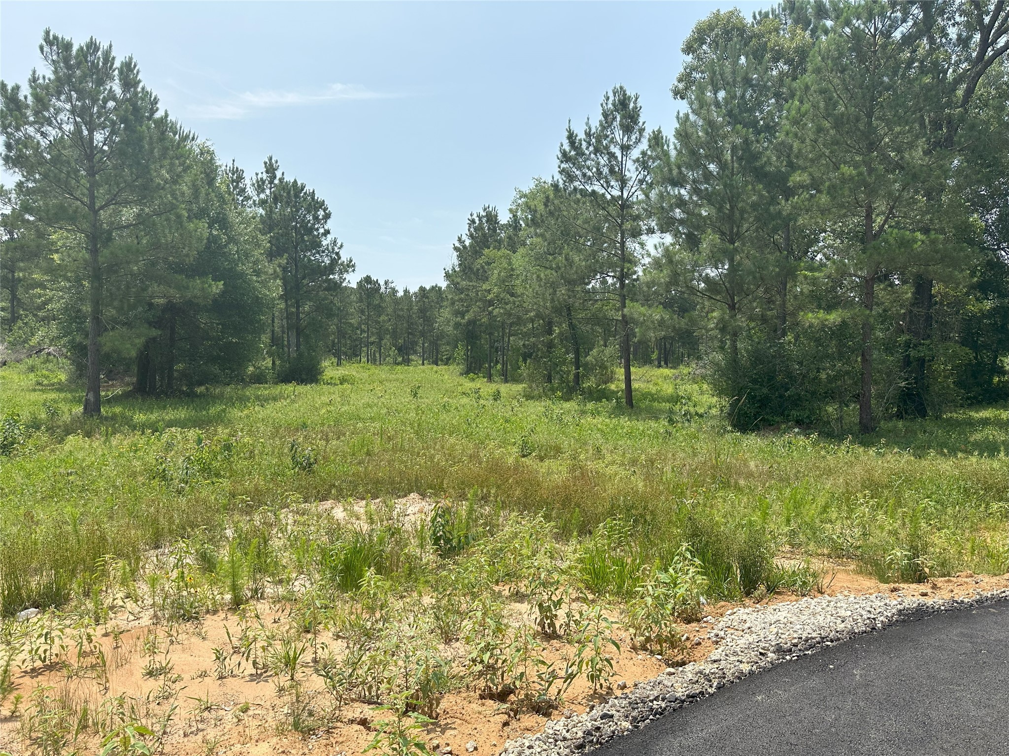 31823 Boone Road Waller, TX 77484 - Photo 14 of 18 a view of outdoor space and yard