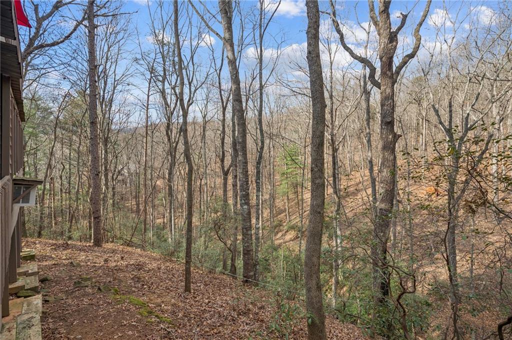 458 Tea Berry Lane Big Canoe, GA 30143 - Photo 32 of 37 a backyard of a house with lots of green space