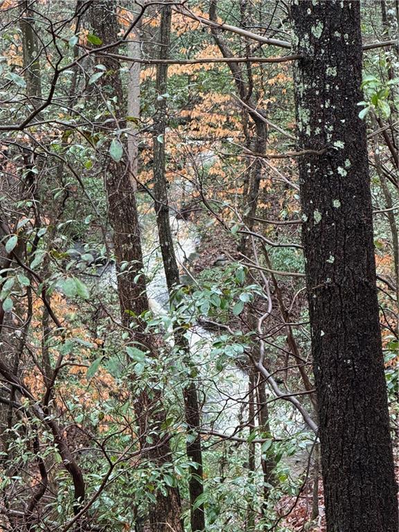 458 Tea Berry Lane Big Canoe, GA 30143 - Photo 33 of 37 a view of a tree