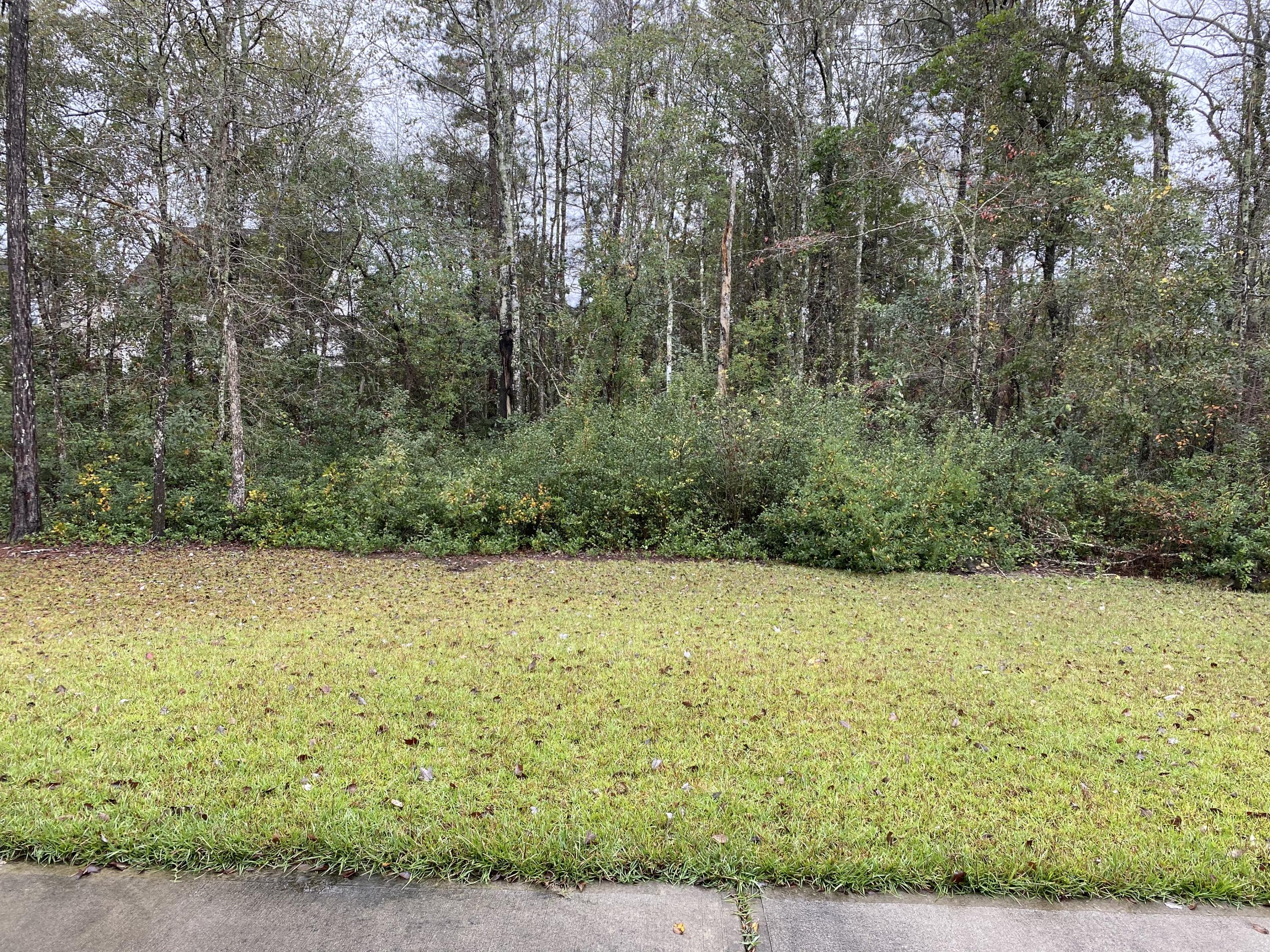 416 Rivers Row Drive Moncks Corner, SC 29461 - Photo 7 of 7 Backyard