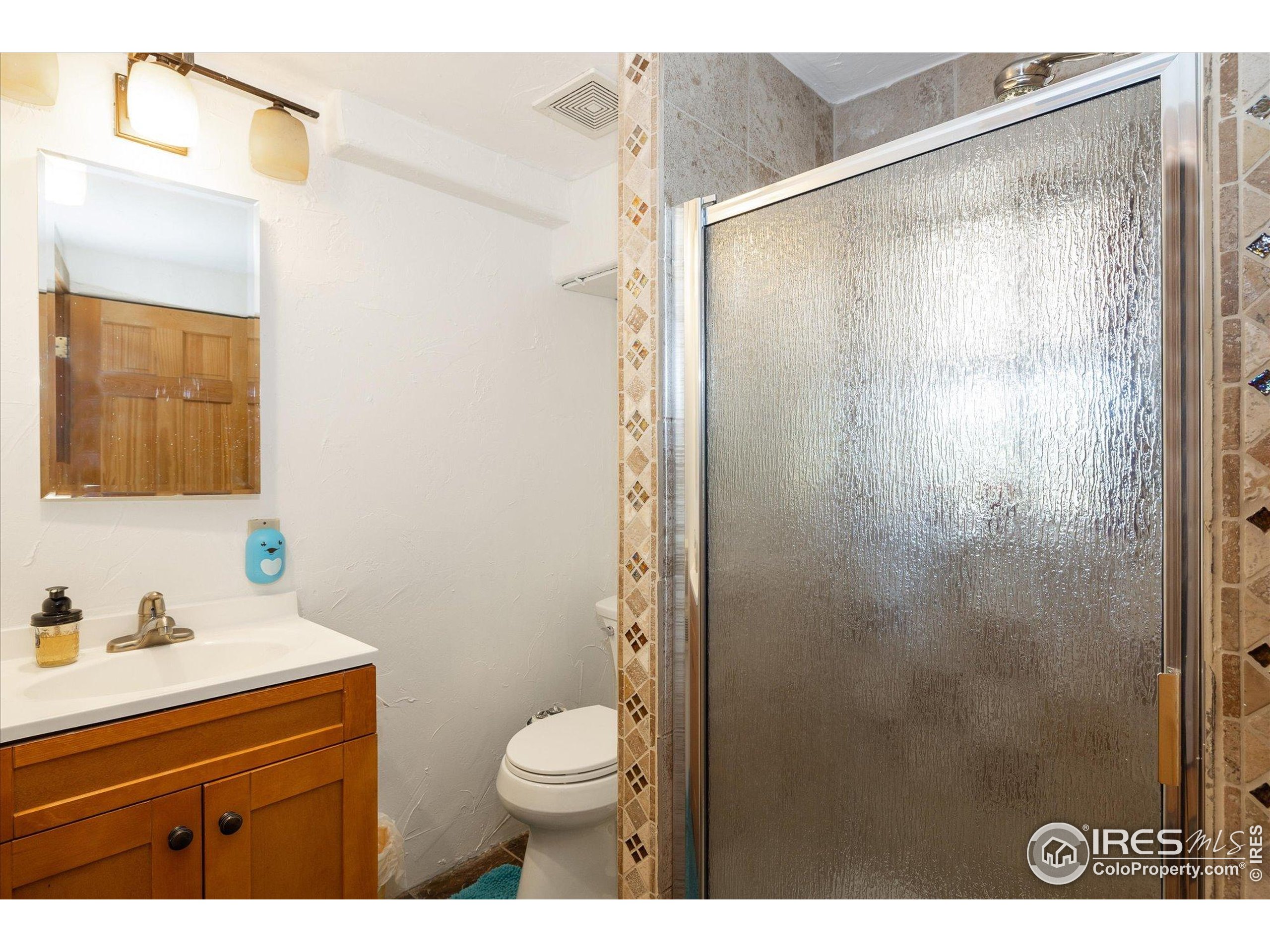 246 Rudi Lane West Golden, CO 80403 - Photo 23 of 48 a bathroom with a shower a sink and a mirror