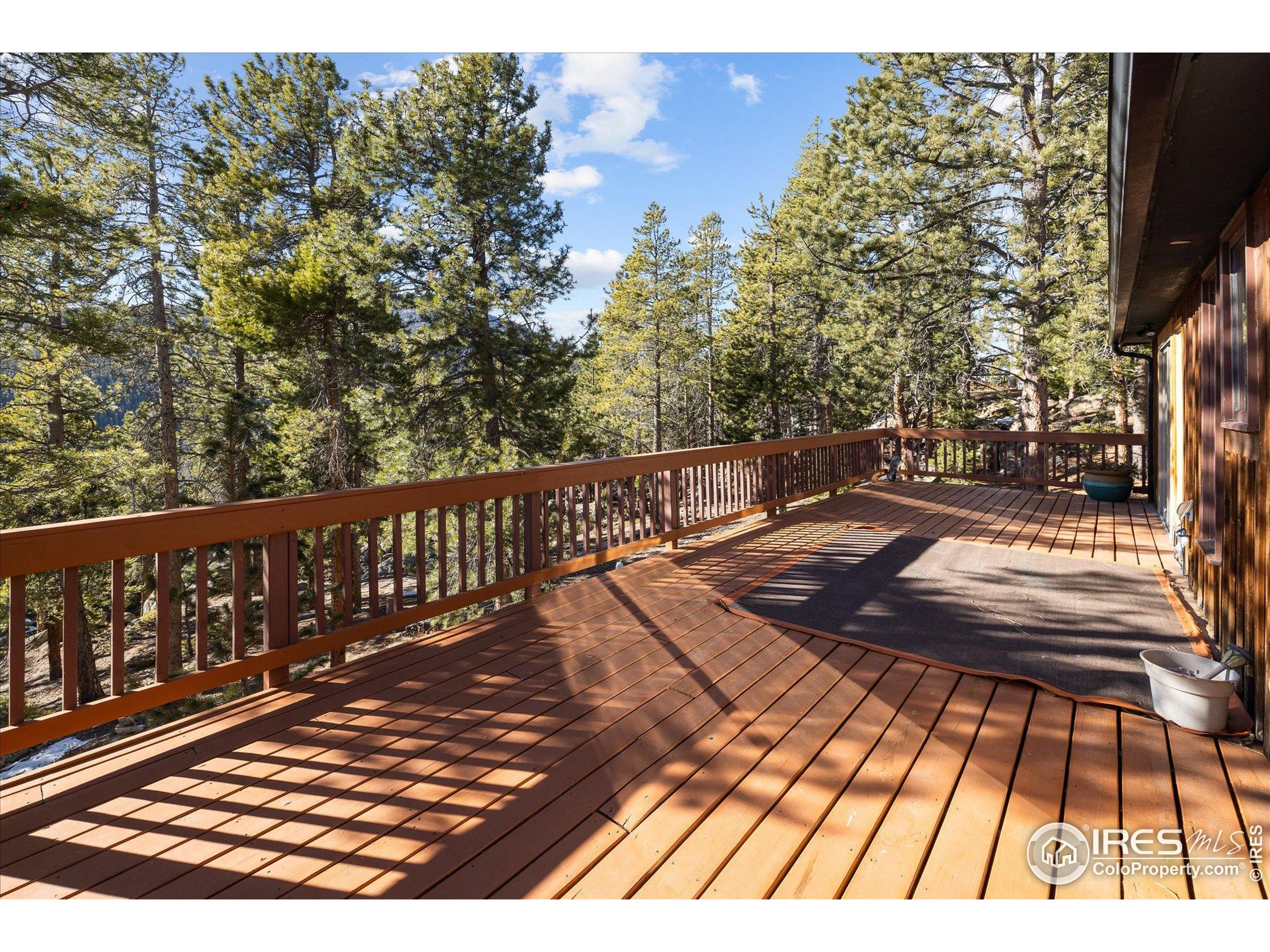 246 Rudi Lane West Golden, CO 80403 - Photo 30 of 48 a view of outdoor space with lots of trees