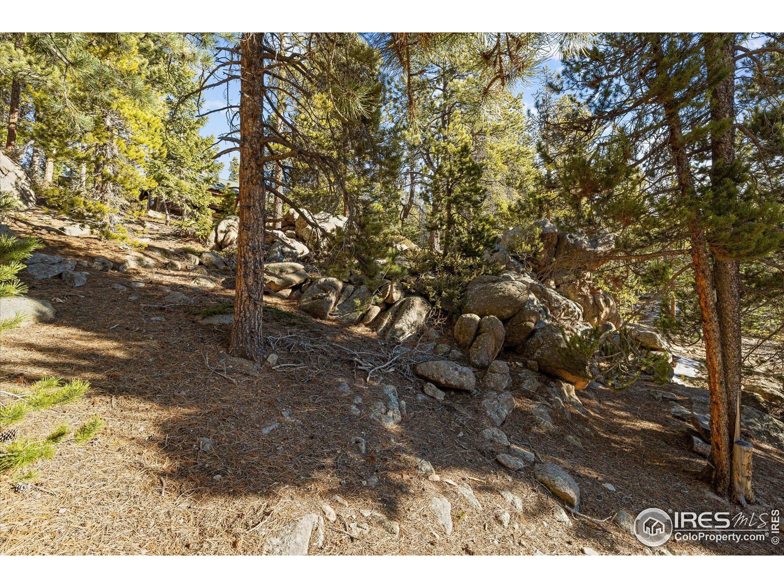 246 Rudi Lane West Golden, CO 80403 - Photo 42 of 48 a view of a yard with street
