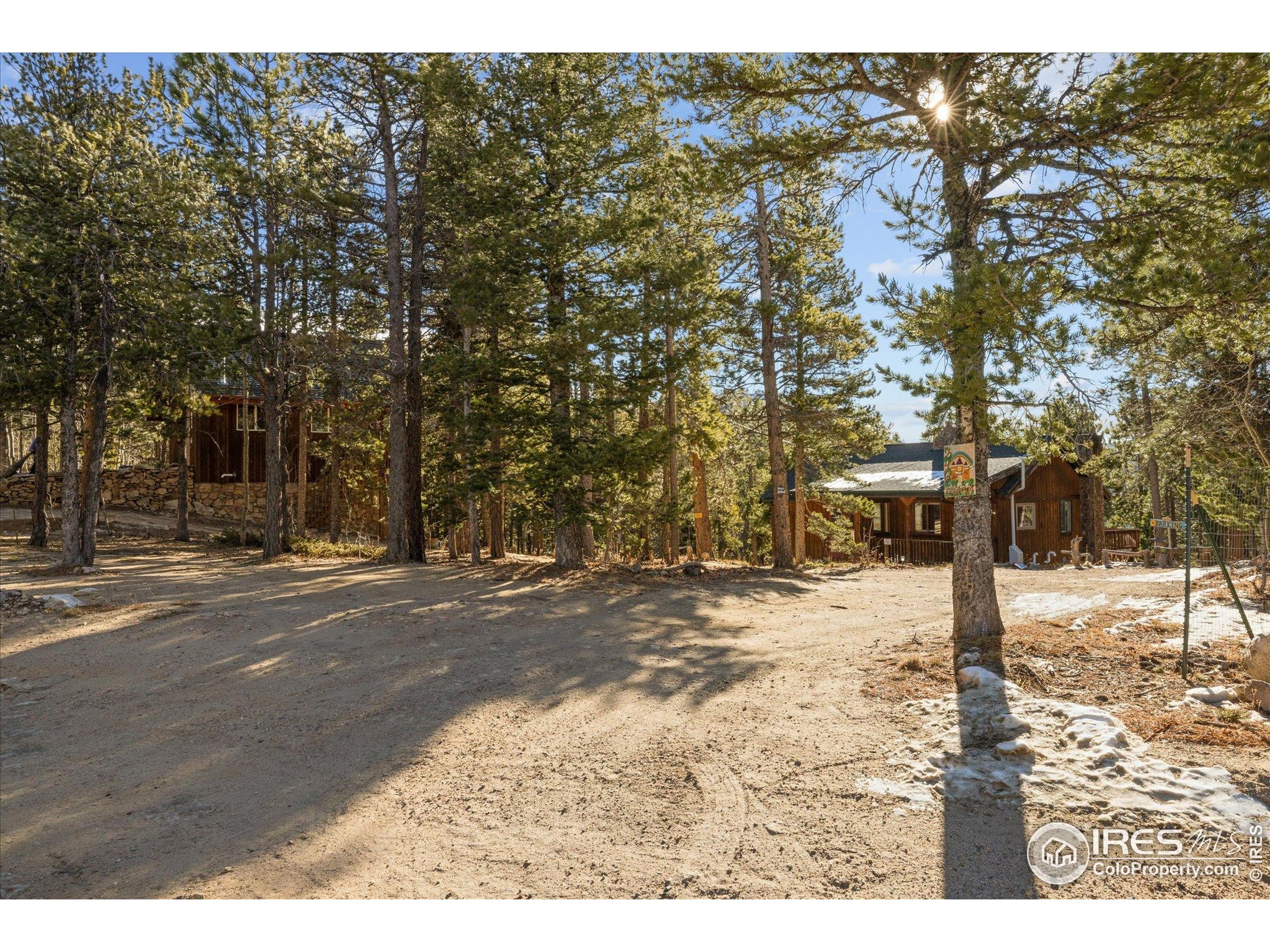 246 Rudi Lane West Golden, CO 80403 - Photo 6 of 48