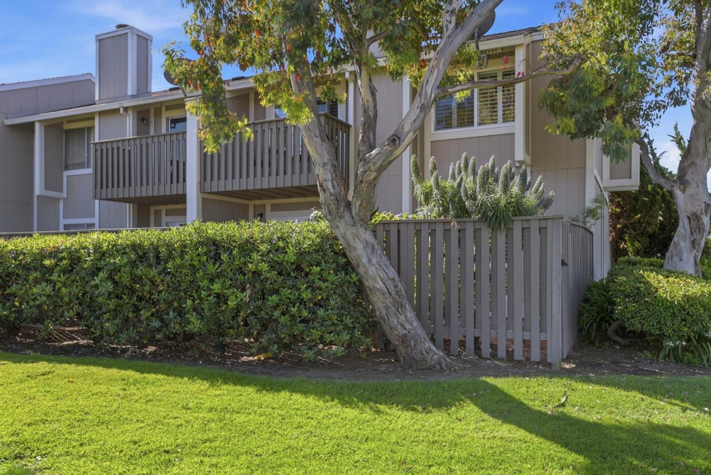 815 Rigel Lane Foster City, CA 94404 - Photo 2 of 48 a view of backyard with a garden and plants