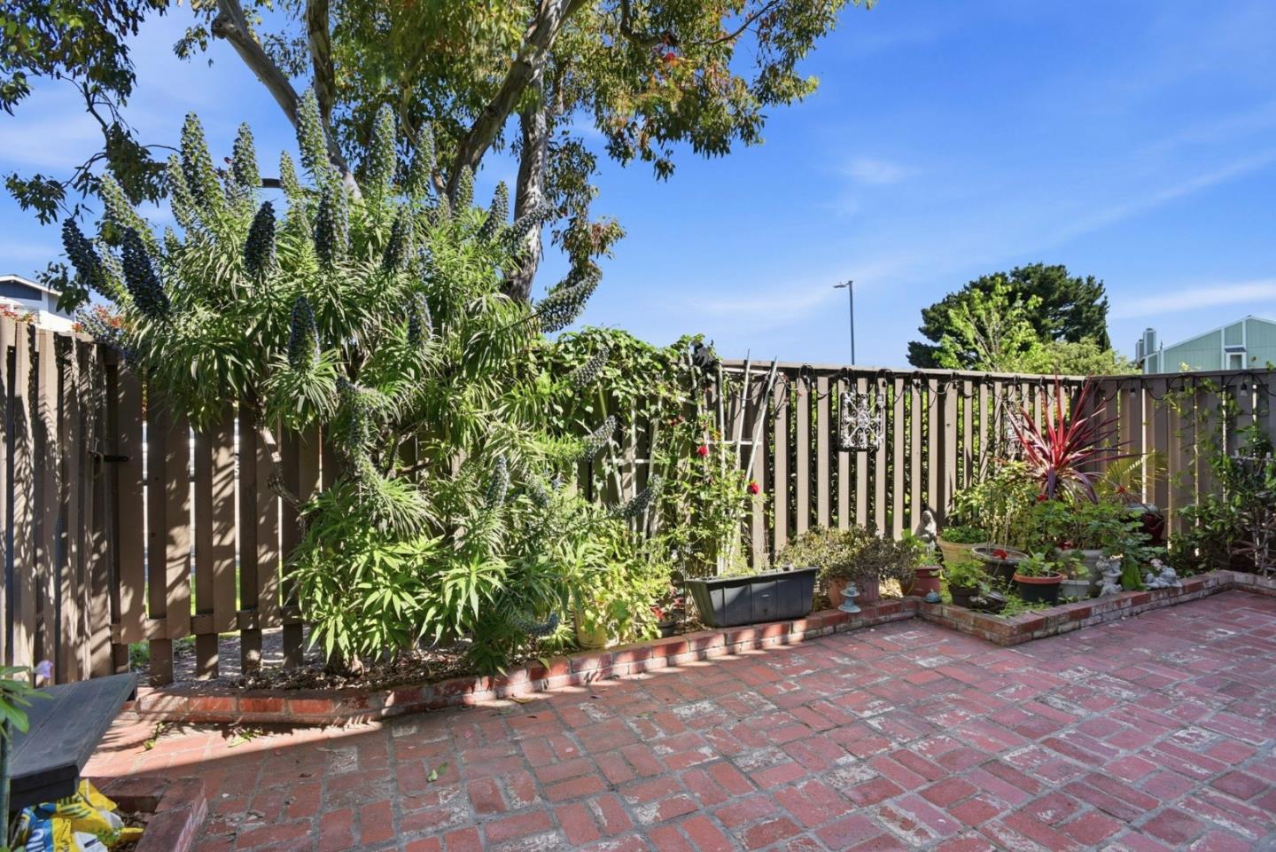 815 Rigel Lane Foster City, CA 94404 - Photo 40 of 48 a view of a garden with plants and trees