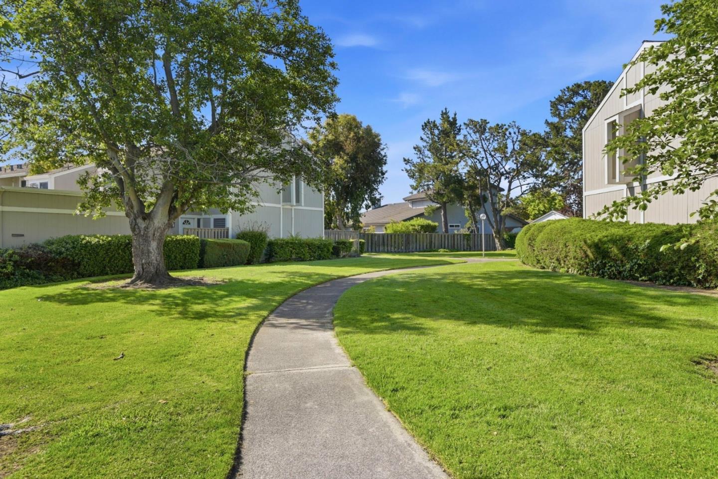 815 Rigel Lane Foster City, CA 94404 - Photo 43 of 48 a view of a park with large trees