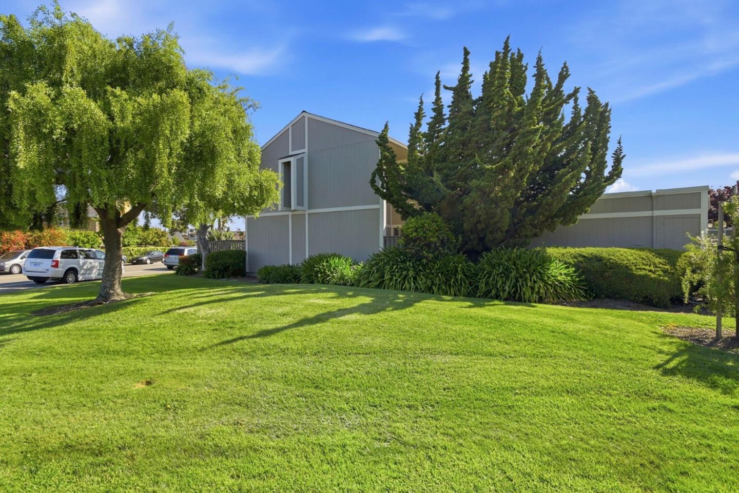 815 Rigel Lane Foster City, CA 94404 - Photo 45 of 48 a tall tree in middle of the green field