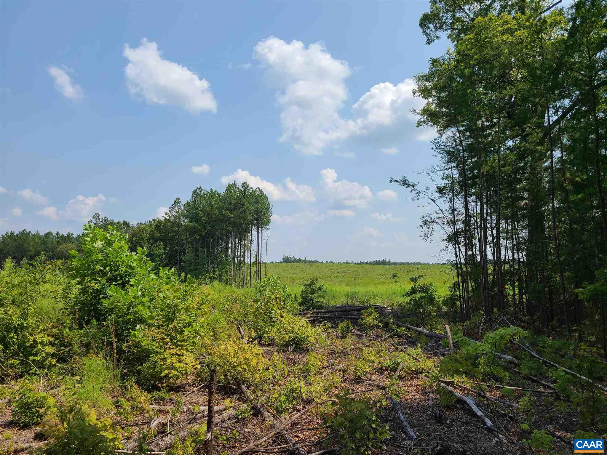 4 Rising Sun Road Palmyra, VA 22963 - Photo 1 of 12 a view of a garden