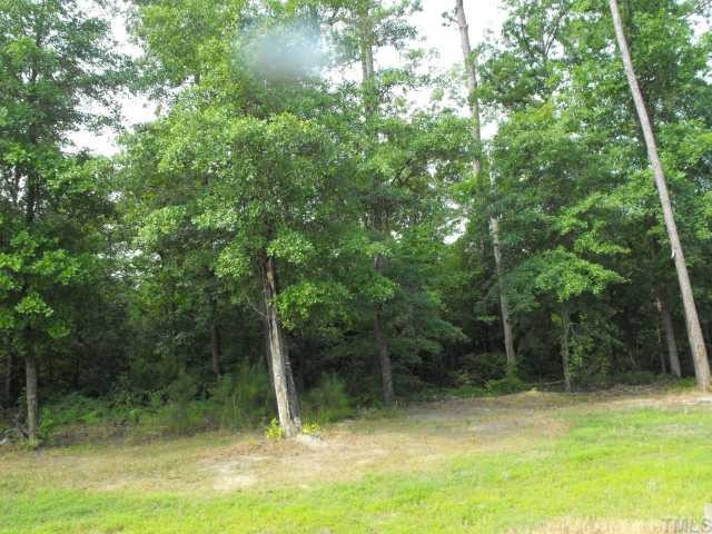 2166 Eldridge Road Newton Grove, NC 28366 - Photo 10 of 11 GORGEOUS BACK YARD WITH HARDWOOD TREES AND NATURAL BUFFER Back Yard