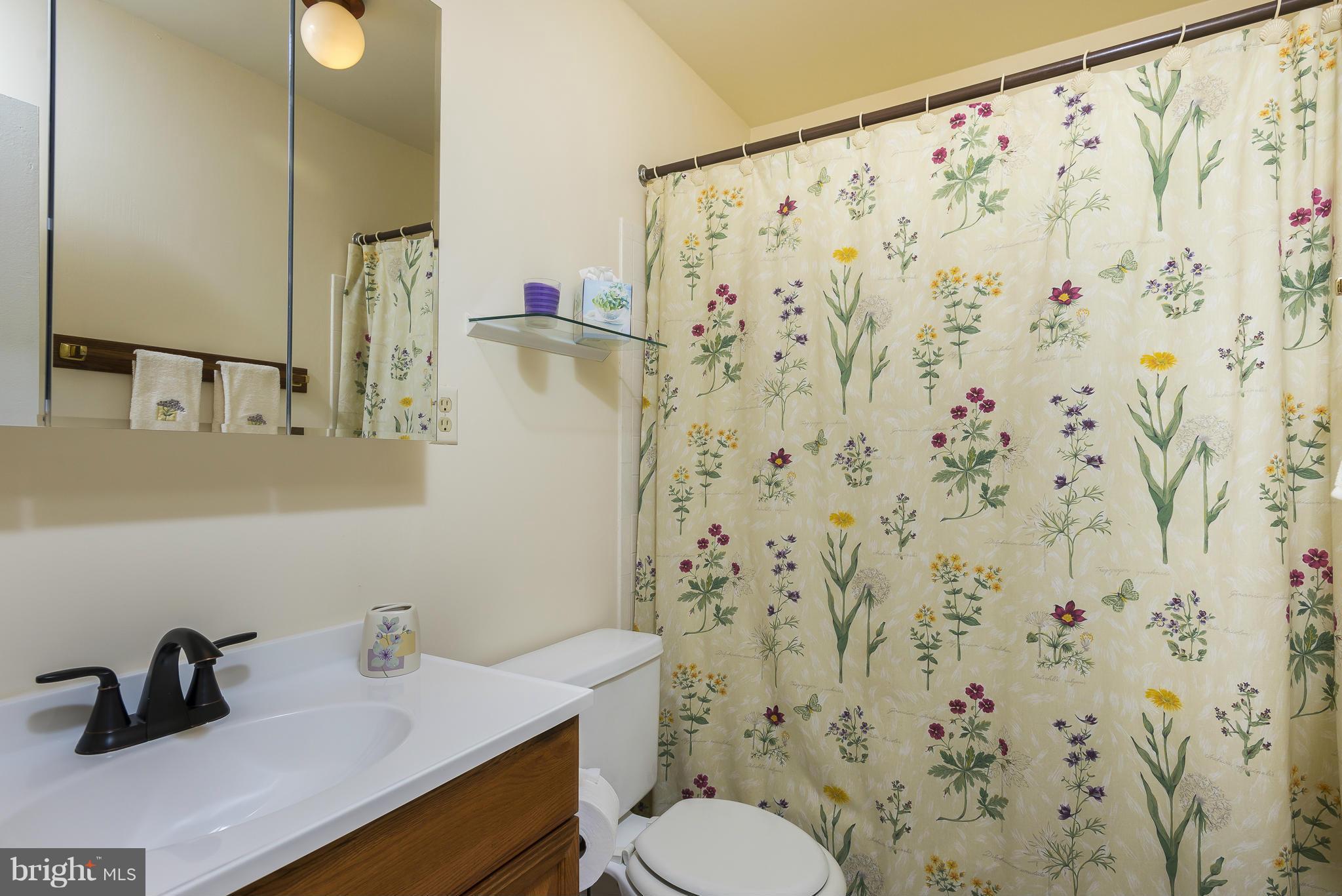 5054 Whetstone Road Columbia, MD 21044 - Photo 21 of 30 a bathroom with a sink toilet and a mirror