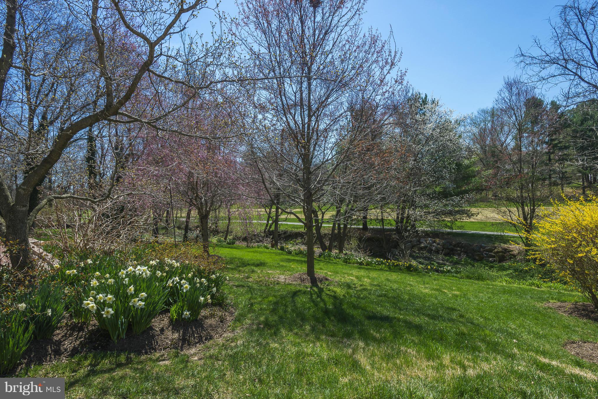5054 Whetstone Road Columbia, MD 21044 - Photo 28 of 30 a view of a park with large trees