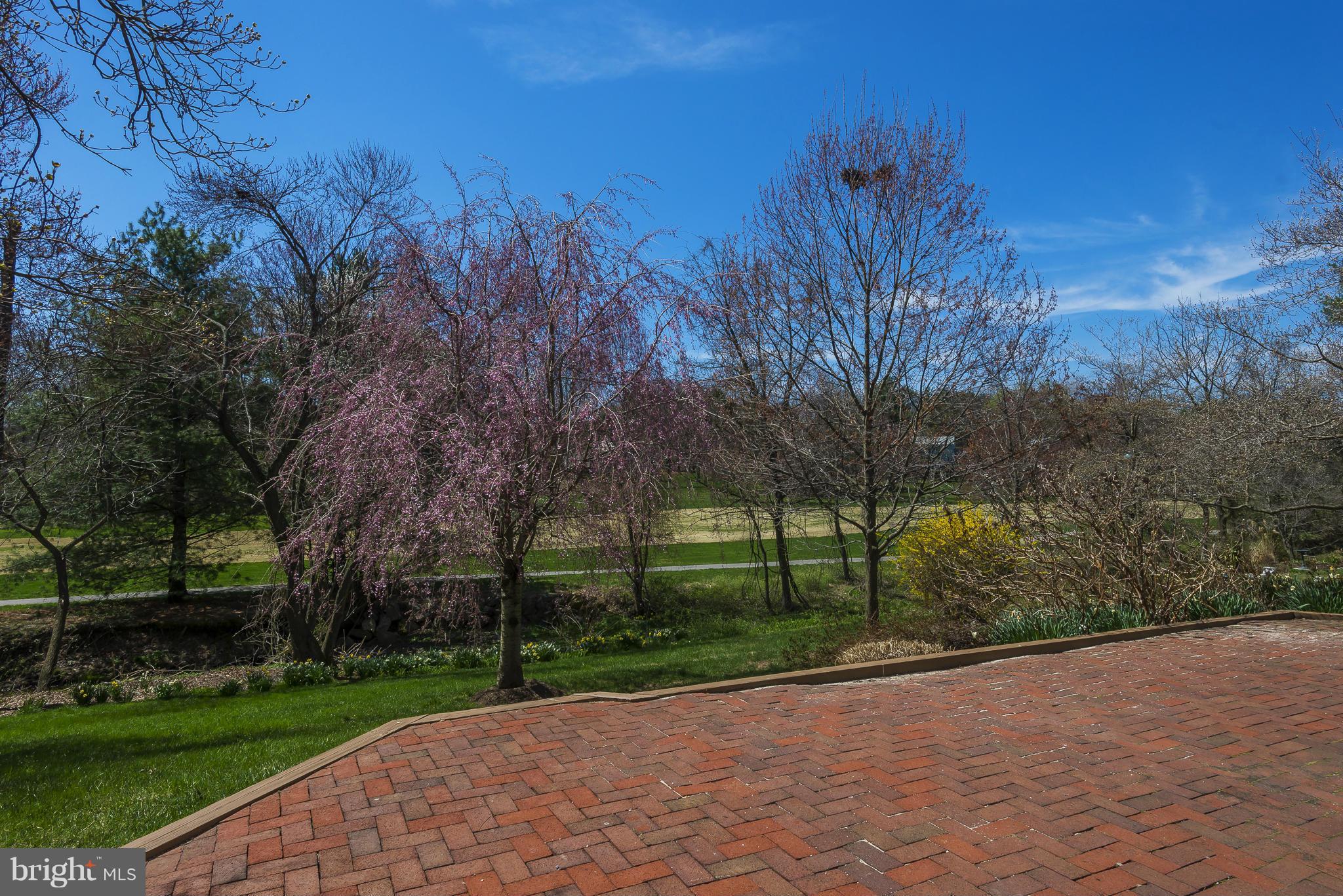 5054 Whetstone Road Columbia, MD 21044 - Photo 4 of 30 a view of a park with large trees