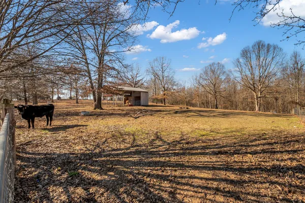 $559,900 | 4161 Shady Oak Lane, Iron City, TN 38463