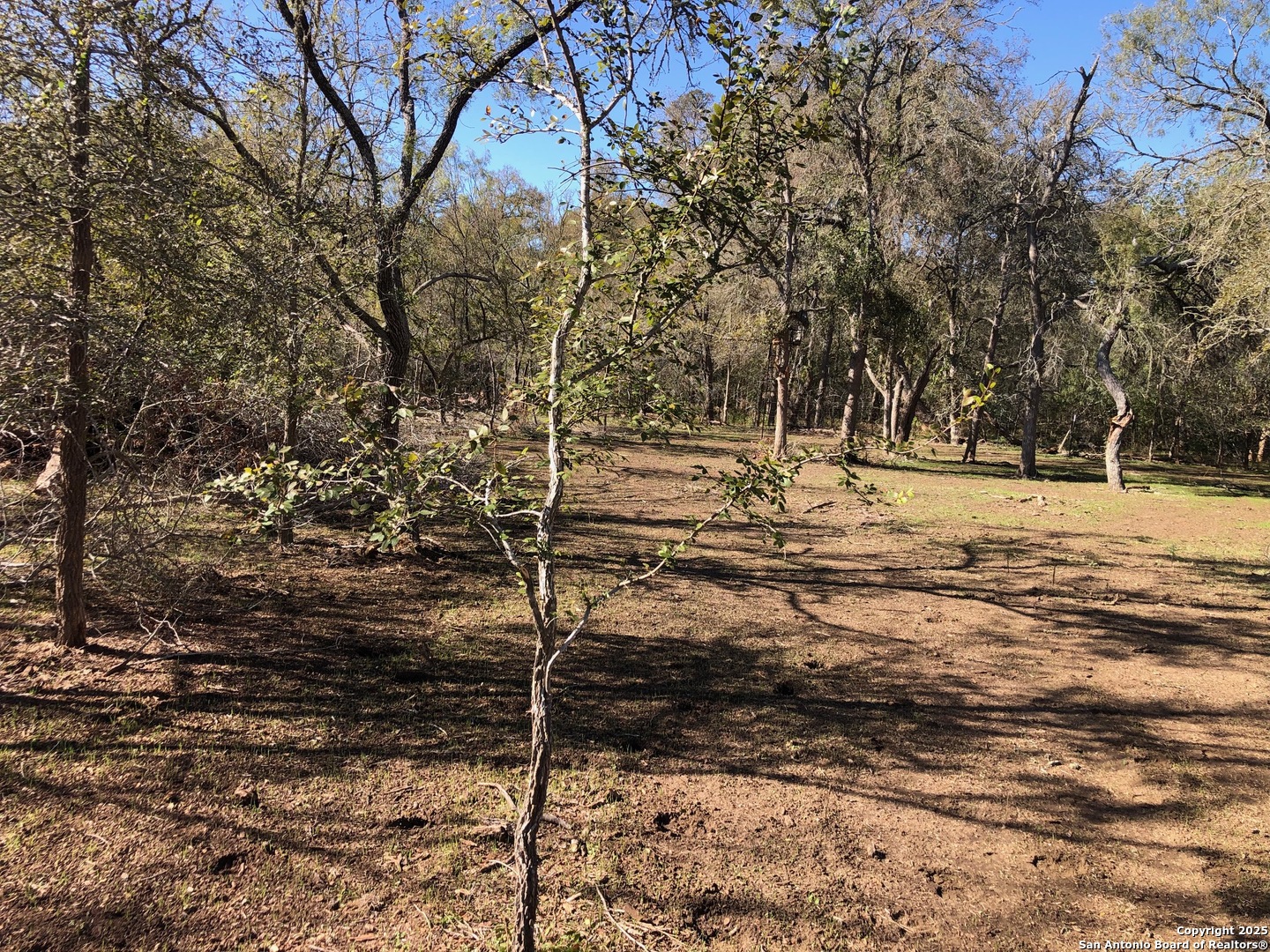 0 Single Oak Road Seguin, TX 78155 - Photo 12 of 15 a view of a yard with trees