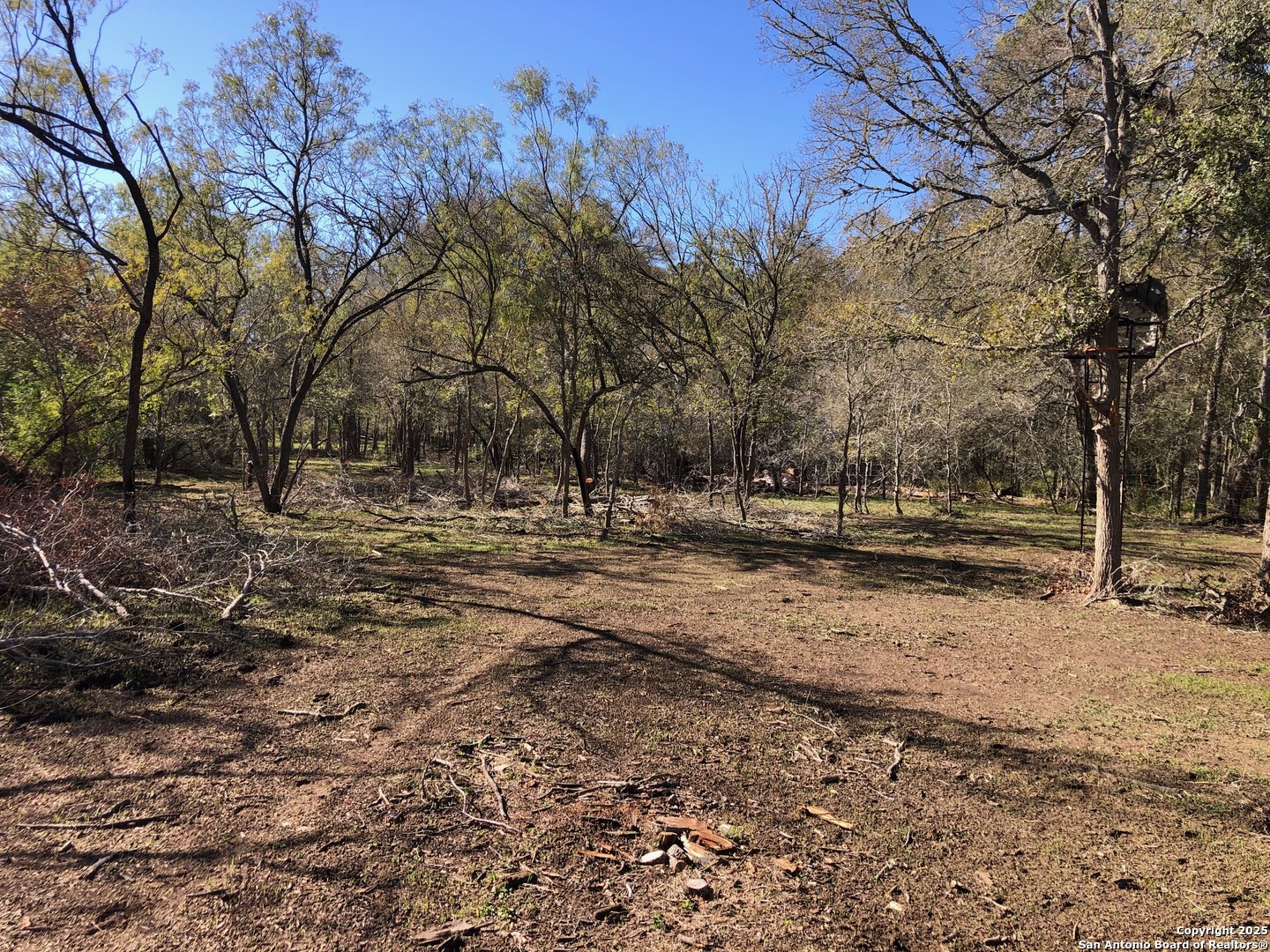 0 Single Oak Road Seguin, TX 78155 - Photo 13 of 15 a view of road view with trees