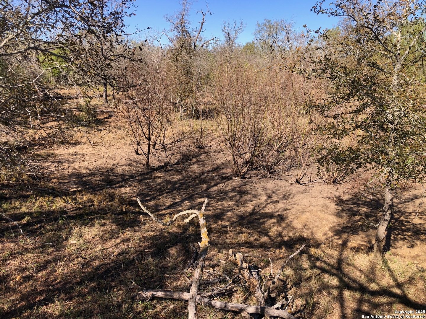 0 Single Oak Road Seguin, TX 78155 - Photo 15 of 15