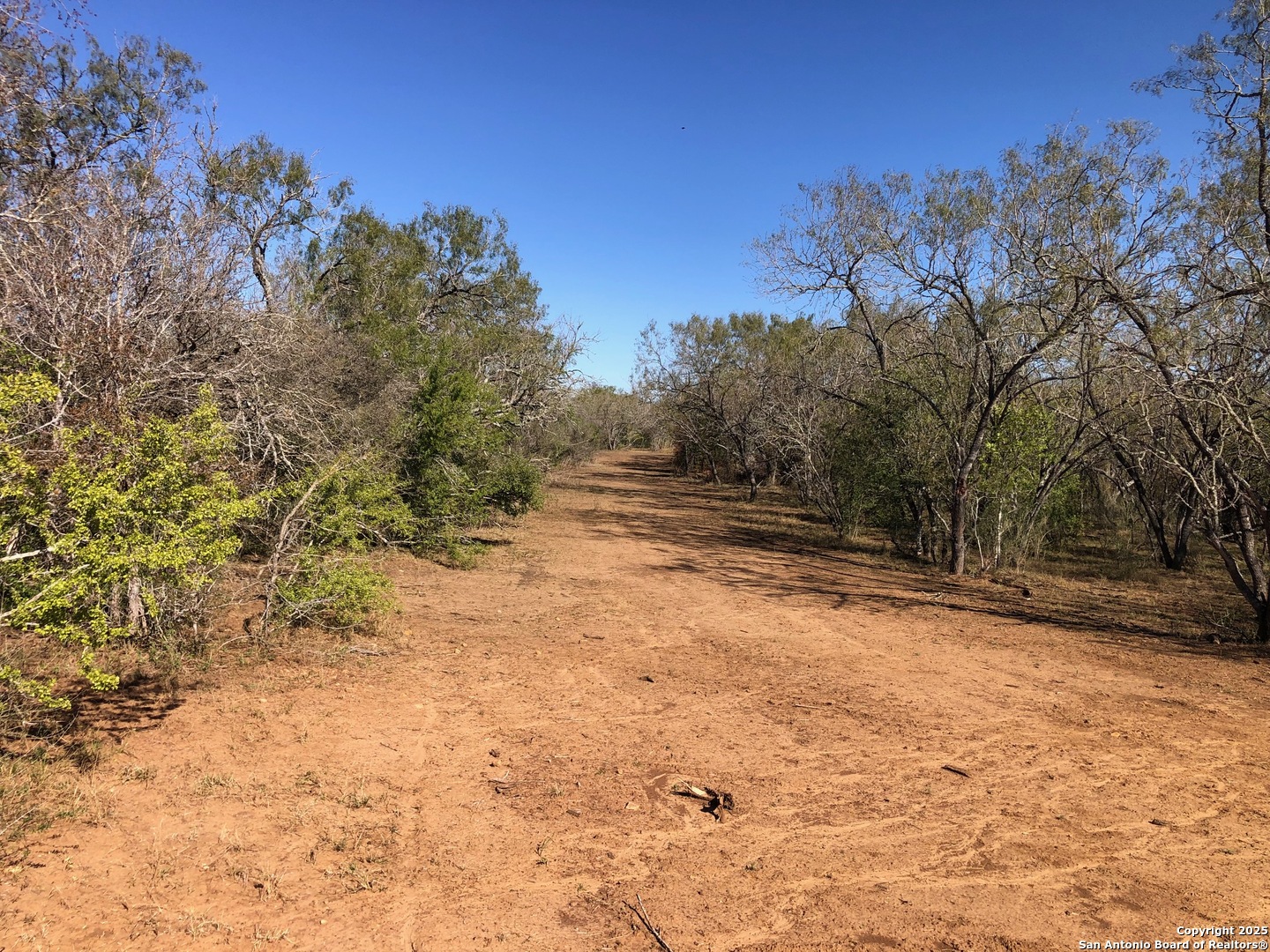 0 Single Oak Road Seguin, TX 78155 - Photo 3 of 15 a view of dirt yard with a large tree