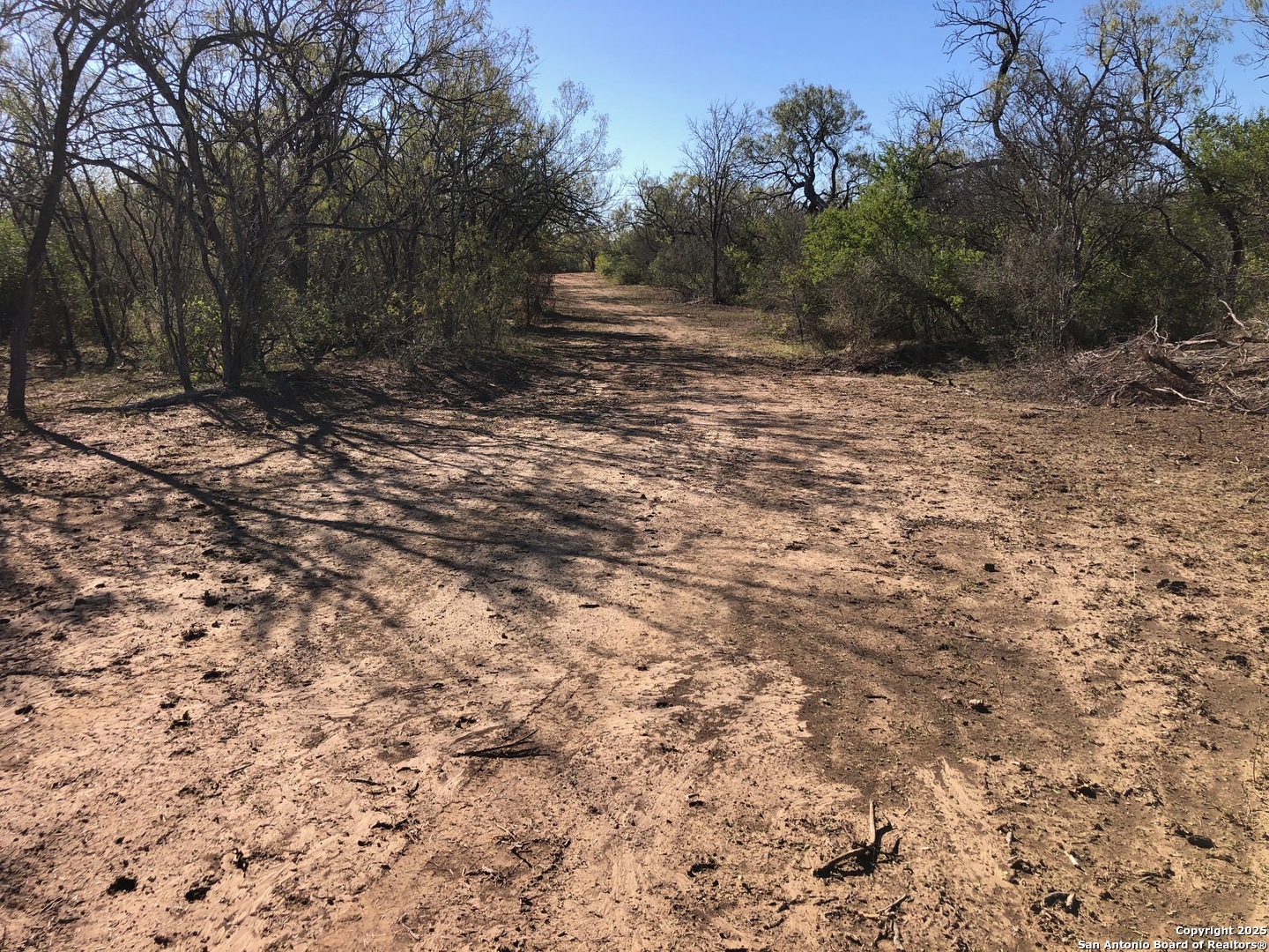 0 Single Oak Road Seguin, TX 78155 - Photo 4 of 15 a view of a yard with a tree