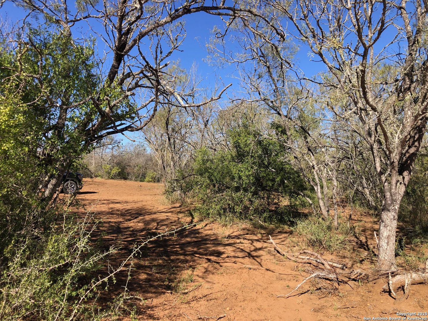 0 Single Oak Road Seguin, TX 78155 - Photo 5 of 15 a picture of trees