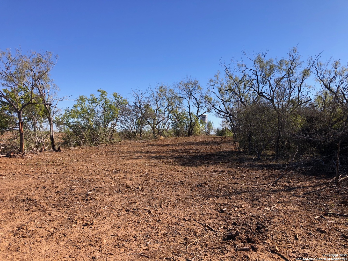0 Single Oak Road Seguin, TX 78155 - Photo 6 of 15 a view of dirt yard with a large tree