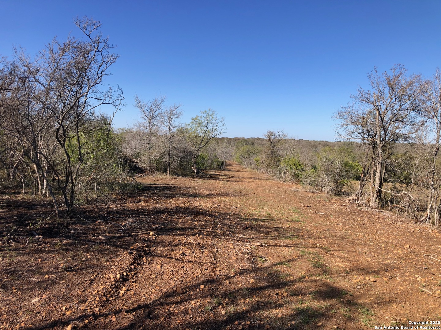 0 Single Oak Road Seguin, TX 78155 - Photo 9 of 15 a view of dirt yard